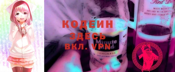 трава Няндома