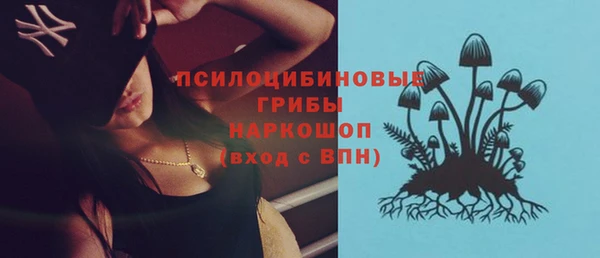 не бодяженный Арсеньев