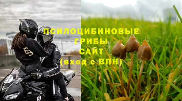 СК Армянск