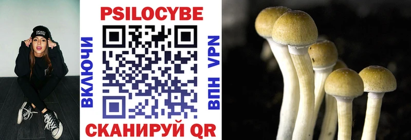 Псилоцибиновые грибы мицелий Таруса
